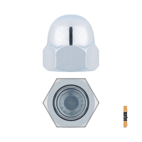 Stainless Steel 316 Cap Nut (DIN 1587)